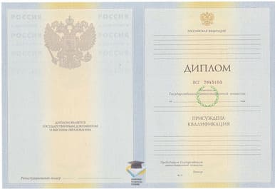 Диплом ОЮИ 2010-2011 годов