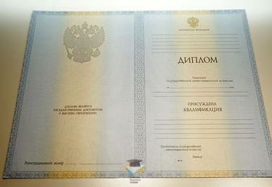 Диплом РЮИ 2012-2013 годов